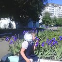 ���� �������, ������ ����� - ��������� 26 ��� 2017 � ������ ���� ����������