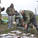 ���� ������, �����-��������� - ��������� 25 ������ 2017 � ������ ���� ����������