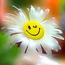 ���� �������, ���� - ��������� 27 ���� 2017 � ������ ��������