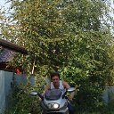 ���� �������, ������, 54 ���� - ��������� 12 �������� 2017 � ������ ���� ����������