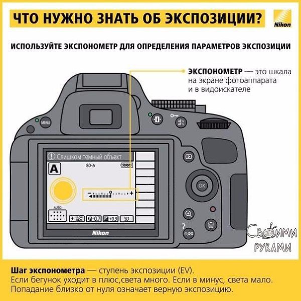 Nikon   ,        