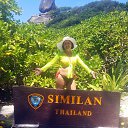 ���� �������, ���������, 49 ��� - ��������� 23 ������� 2017 � ������ ���� ����������