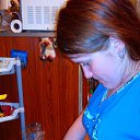 ���� ������, ������������, 55 ��� - ��������� 17 ������ 2017 � ������ �2017�