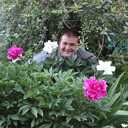 ���� ������, ������, 43 ���� - ��������� 1 �������� 2017