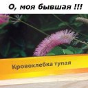 ���� ������, ������ - ��������� 22 ������� 2017 � ������ ������ ��������