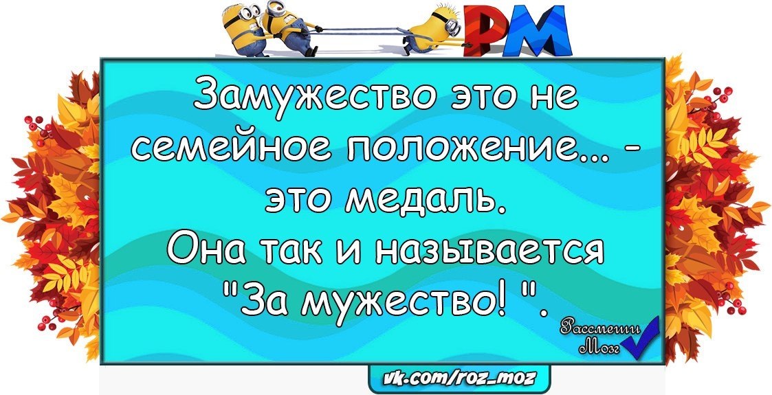 �������� - 5 ������� 2017 � 17:13