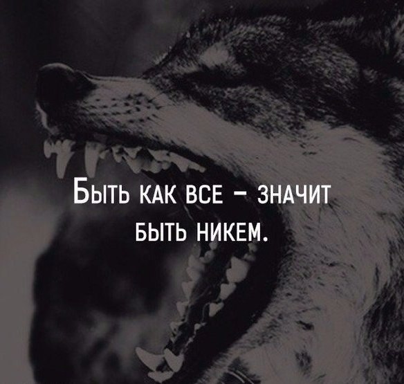 SportFeed - 23  2017  19:38