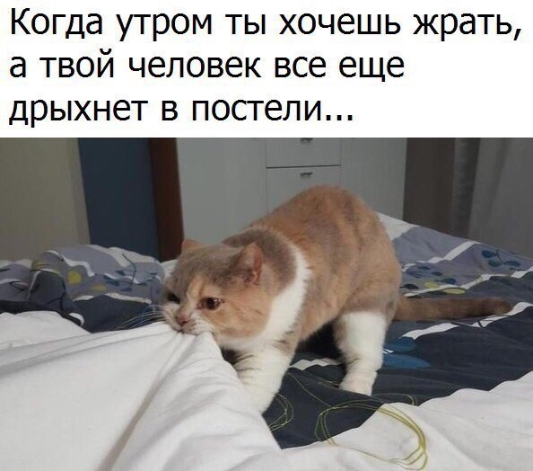       - 14  2017  08:53