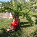 ���� Elena, ������ - ��������� 15 ������� 2017 � ������ ���� ����������