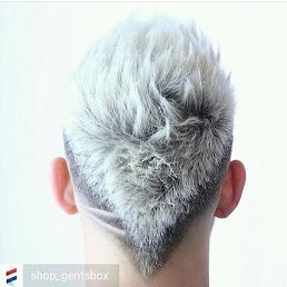 �����, ���������