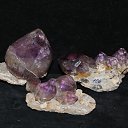 ���� ������, �����-��������� - ��������� 25 ������ 2017 � ������ �����������