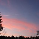  , , 75  -  29  2017   Ҹ   2017