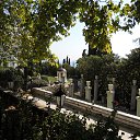  , , 60  -  6  2017   , , ,06.08.17.