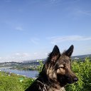 ���� �������, �������, 45 ��� - ��������� 20 ���� 2017 � ������ ���� ����������