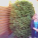 ���� ���������, �����-��������� - ��������� 12 ������� 2017 � ������ ���� ����������