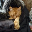 �� ��� �����! �������� ������. �� ������� ������ ��������