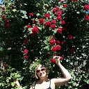 ���� �������, ���������, 54 ���� - ��������� 29 ��� 2017 � ������ ���� ����������