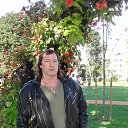 ���� ���������, �����������, 72 ���� - ��������� 5 ������� 2017 � ������ ���� ����������