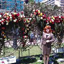 ���� �������, ����, 76 ��� - ��������� 24 �������� 2017 � ������ ���� ����������