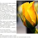 ���� ��������, ��������� - ��������� 14 �������� 2017 � ������ ������ ��������