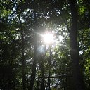 ���� ���������, ���� - ��������� 24 �������� 2017 � ������ ������ ������ �������� 2017�.�