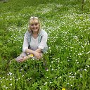 ���� �����, ��������������, 49 ��� - ��������� 3 ��� 2017 � ������ ���� ����������