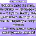 ���� ��������, ������, 56 ��� - ��������� 13 �������� 2017 � ������ ���� ����������