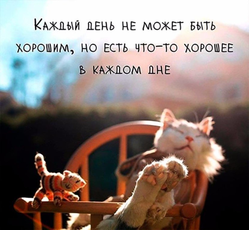      - 22  2017  14:48