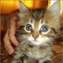 ��� � ������������ - �� 30 ���� ������ �� ������� ���������Ȼ