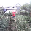 ���� ����, ���������, 43 ���� - ��������� 9 �������� 2017 � ������ ���� ����������