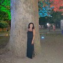 ���� ��������, ���������, 59 ��� - ��������� 22 ������� 2017 � ������ ���� ����������