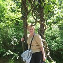 ���� ���������, �����������, 71 ��� - ��������� 8 ������ 2017 � ������ ���� ����������