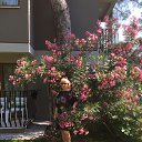 ���� Olga, ���������� - ��������� 29 ��� 2017