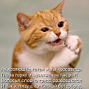 ���� �����, ����� ������, 65 ��� - ��������� 4 ������ 2017 � ������ ������ ��������
