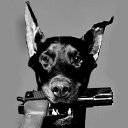 ���� ***��������***, ����� - ��������� 17 �������� 2017 � ������ ����