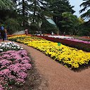  , , 60  -  24  2017   ,&quot;   ..&quot; ,22.10.17