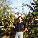 ���� ������, ��������, 53 ���� - ��������� 31 ��� 2017