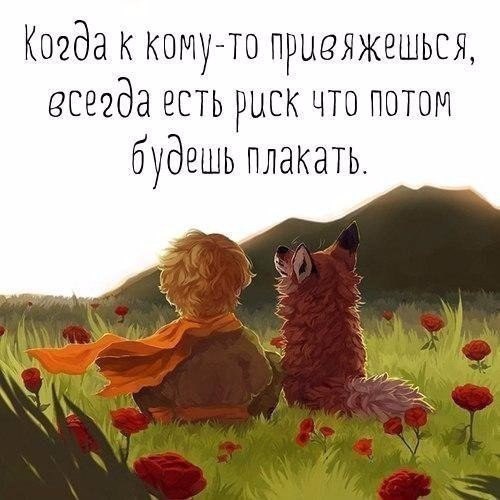    - 14  2017  11:24 - 2