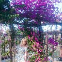 ���� �������, ���������, 52 ���� - ��������� 2 ���� 2017 � ������ ���� ����������