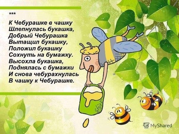 �������������� ����� - 9