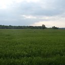 ���� ������, ����� ������, 58 ��� - ��������� 30 ���� 2017 � ������ ������ ������� 2017�