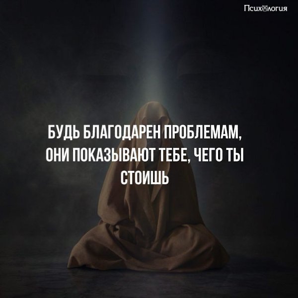  - 15  2017  14:43