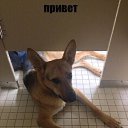 ���� ��������, ������, 48 ��� - ��������� 13 �������� 2017 � ������ ���� ����������