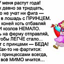���� ����� �������, ����������, 43 ���� - ��������� 15 ������� 2017 � ������ ���� ����������