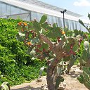 ���� �����, ���� - ��������� 8 ������� 2017 � ������ ���� ����������