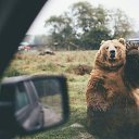 ���� ������, �����-���������, 50 ��� - ��������� 17 ���� 2017 � ������ ������ ��������