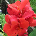 ���� �������, �����, 60 ��� - ��������� 17 ������� 2017 � ������ ���� �����