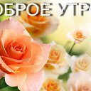 ���� ������, ����, 58 ��� - ��������� 4 ���� 2017 � ������ ������ ��������