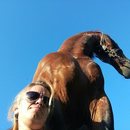 , 41, 