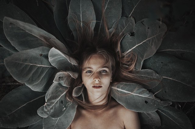 ))).    Alessio Albi - 4